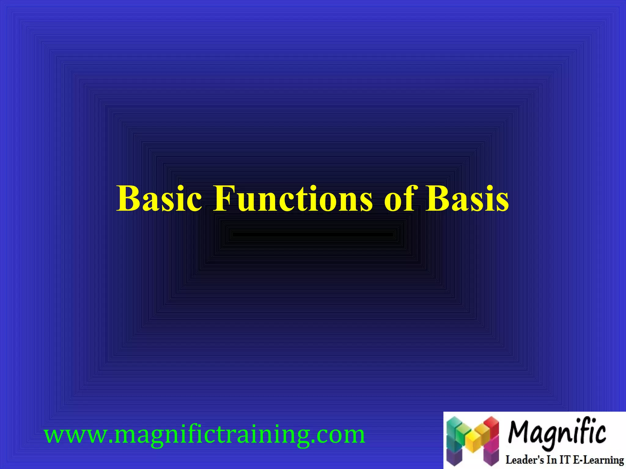 Basic Functions of Basis 
www.magnifictraining.com 
 