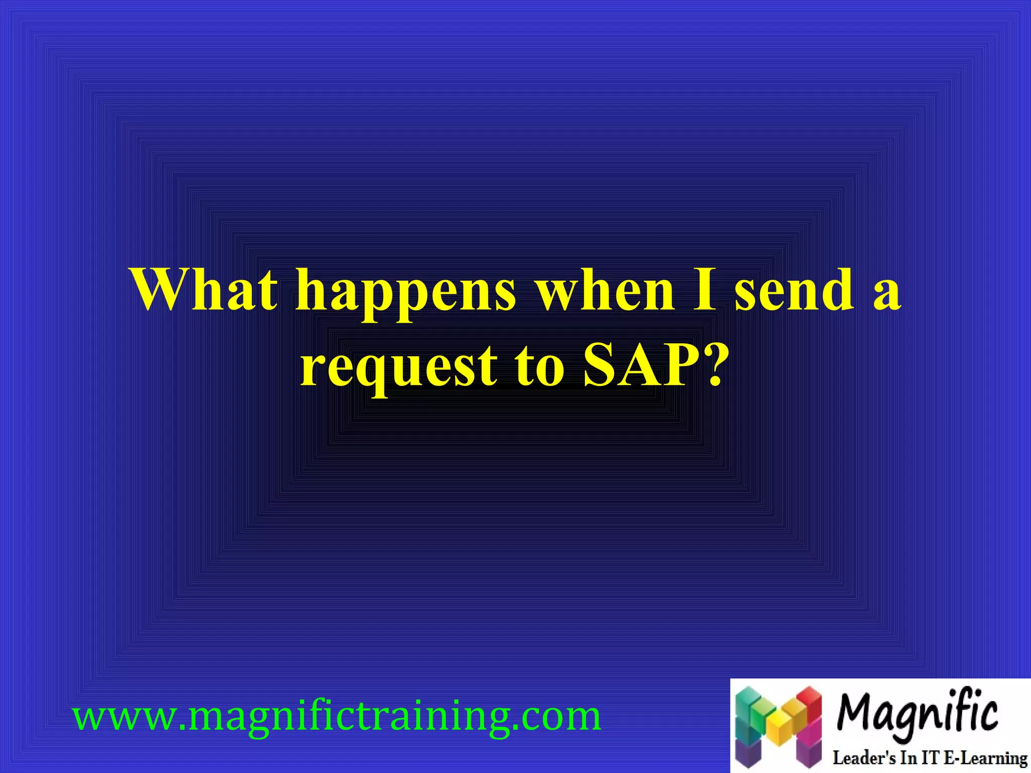 What happens when I send a 
request to SAP? 
www.magnifictraining.com 
 