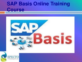 SAP Basis Online Training
Course
 