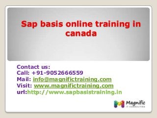 Sap basis online training in
canada
Contact us:
Call: +91-9052666559
Mail: info@magnifictraining.com
Visit: www.magnifictraining.com
url:http://www.sapbasistraining.in
 