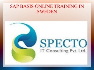 SAP BASIS ONLINE TRAINING IN
SWEDEN
 