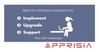 SAP Basis Support Activities For Better SAP Landscape Management