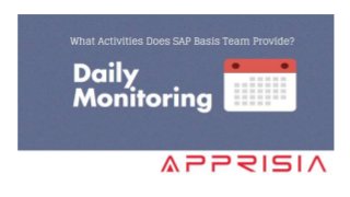 SAP Basis Support Activities For Better SAP Landscape Management