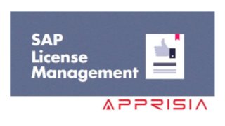 SAP Basis Support Activities For Better SAP Landscape Management