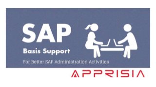 SAP Basis Support Activities For Better SAP Landscape Management