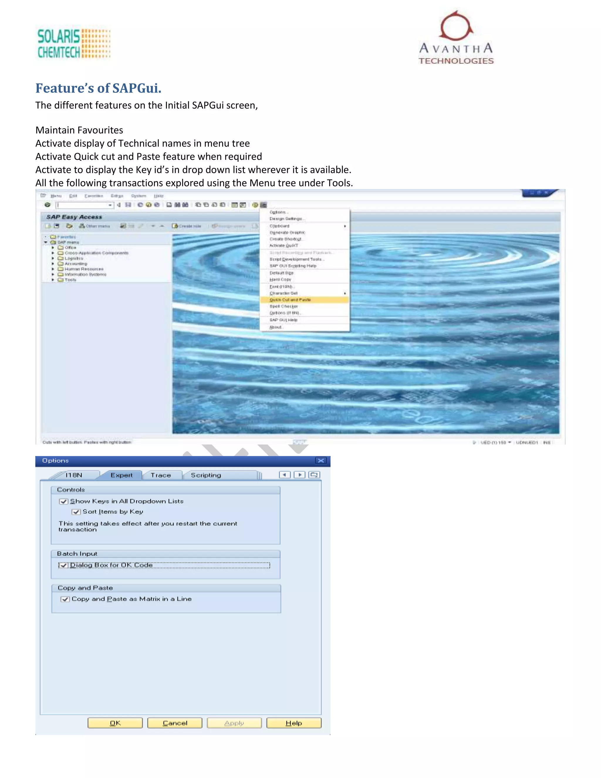 Feature’s of SAPGui.
The different features on the Initial SAPGui screen,

Maintain Favourites
Activate display of Technical names in menu tree
Activate Quick cut and Paste feature when required
Activate to display the Key id’s in drop down list wherever it is available.
All the following transactions explored using the Menu tree under Tools.
 