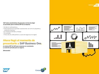 ERP SAP Business One