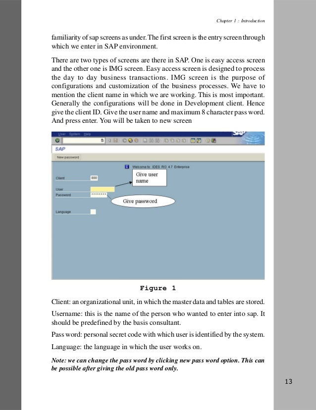Sap Fico Study Material Pdf