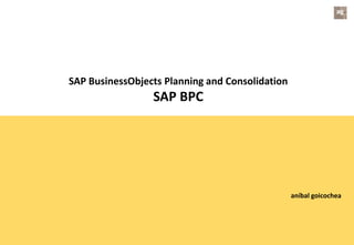 SAP BusinessObjects Planning and Consolidation
SAP BPC
aníbal goicochea
 