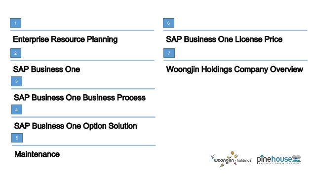 Sap meaning Sap meaning