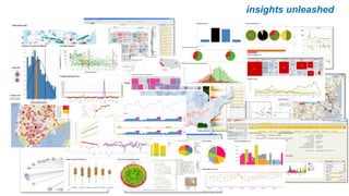 Visual Analytics insights unleashed
 