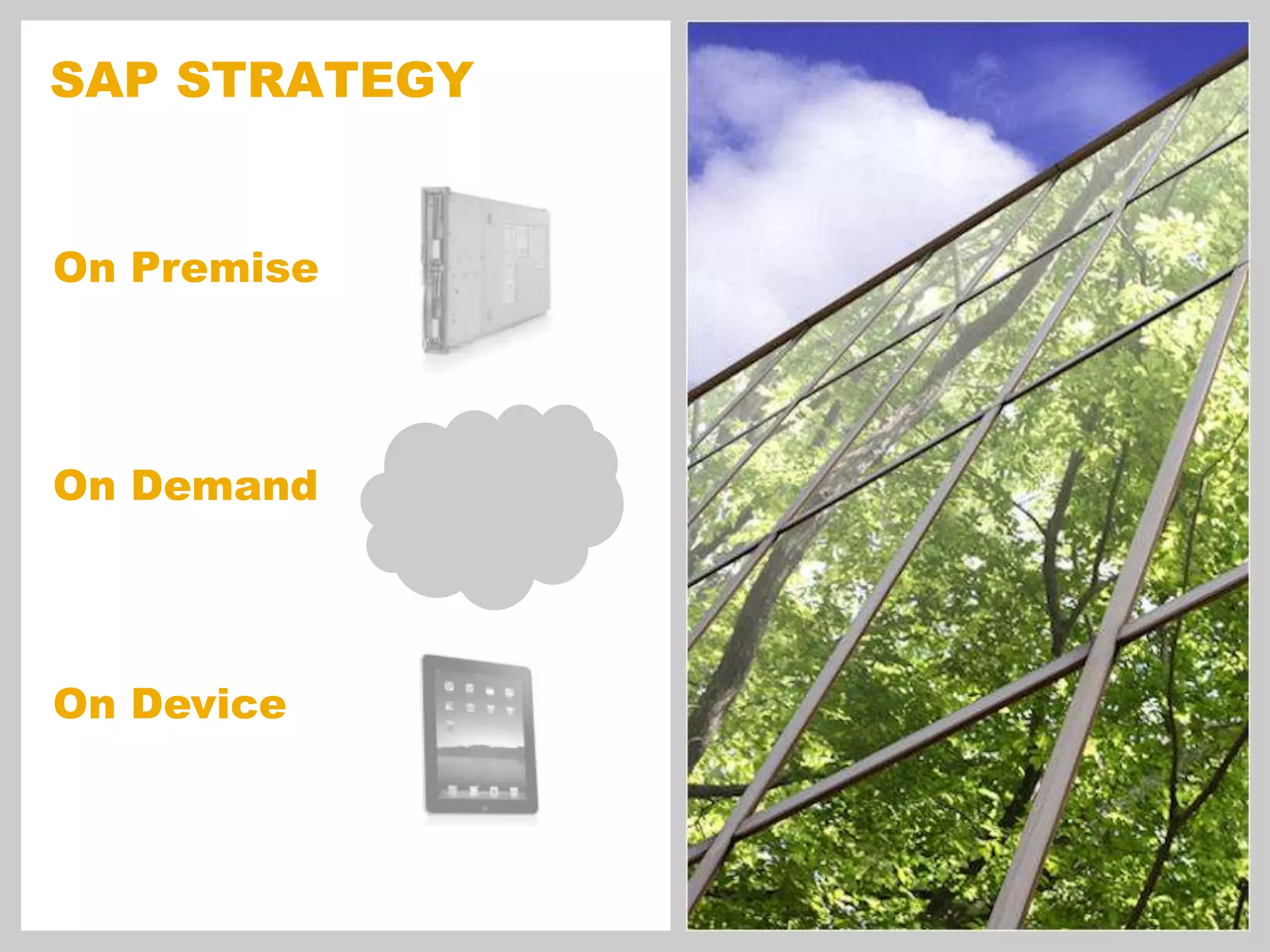 SAP STRATEGYOn PremiseOn DemandOn Device