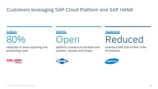 SAP Cloud Platform – Data & Storage - Overview | PDF