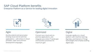 SAP Cloud Platform – Data & Storage - Overview | PDF