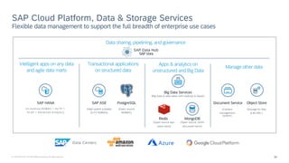 SAP Cloud Platform – Data & Storage - Overview | PDF