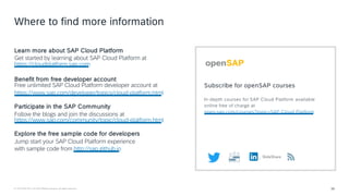 SAP Cloud Platform – Data & Storage - Overview | PDF