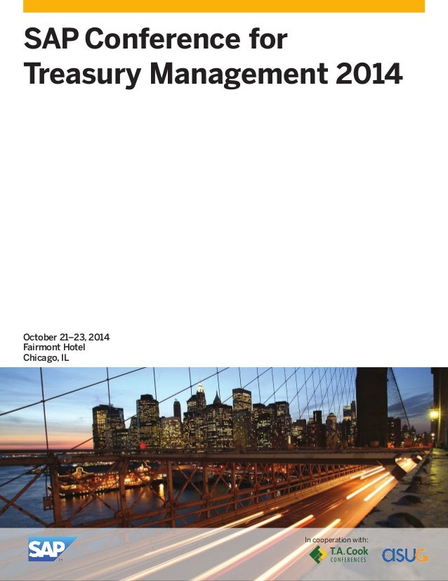 SAP Treasury Management