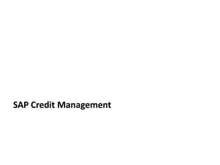 SAP Credit Management
 