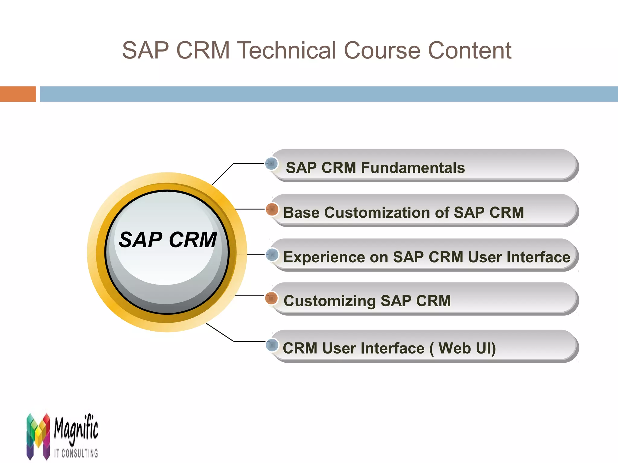 SAP CRM Technical Course Content 
SAP CRM Fundamentals 
Base Customization of SAP CRM 
Experience on SAP CRM User Interface 
Customizing SAP CRM 
CRM User Interface ( Web UI) 
SAP CRM 
 