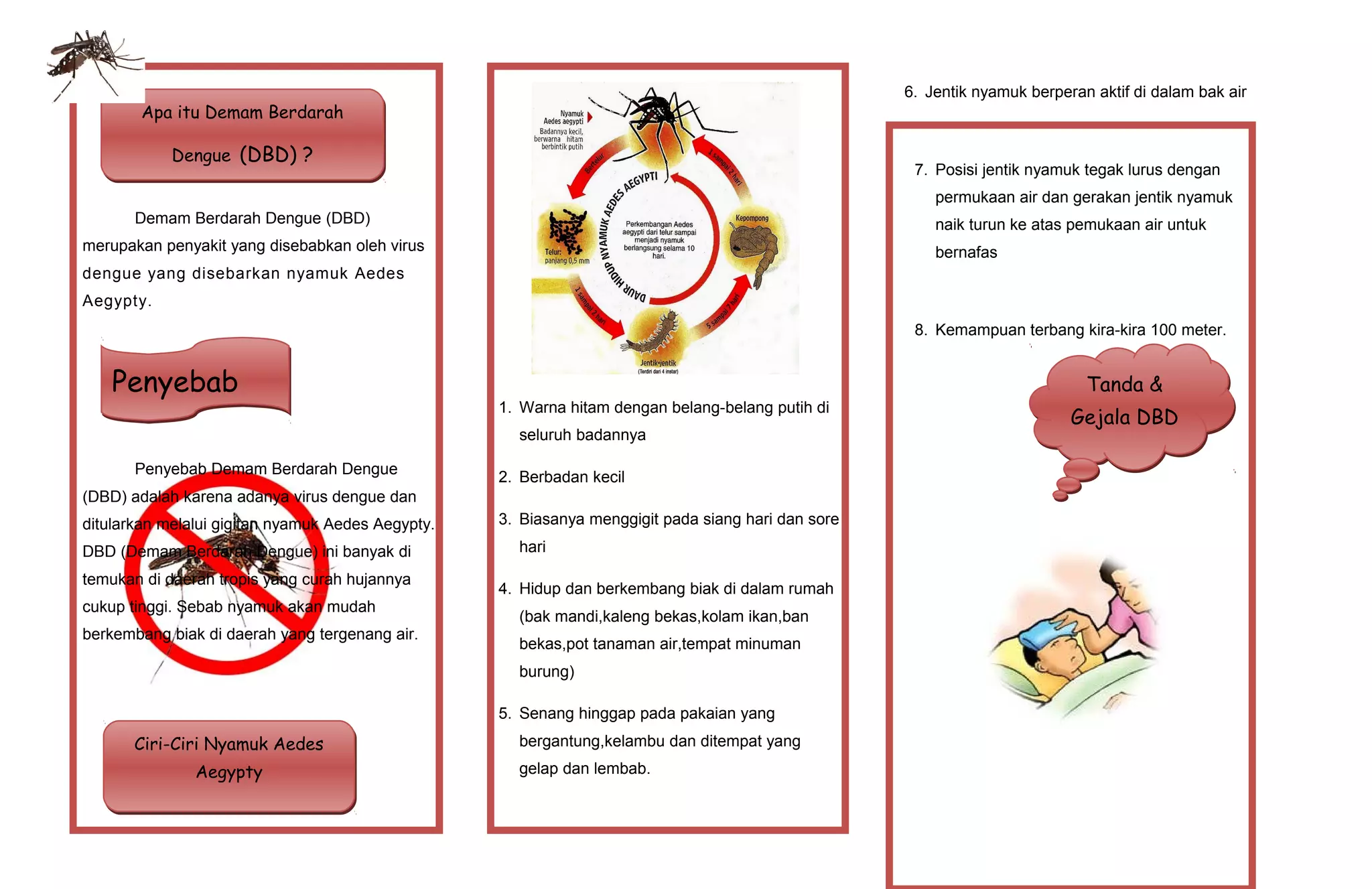 Demam Berdarah Dengue (DBD)
merupakan penyakit yang disebabkan oleh virus
dengue yang disebarkan nyamuk Aedes
Aegypty.
Penyebab Demam Berdarah Dengue
(DBD) adalah karena adanya virus dengue dan
ditularkan melalui gigitan nyamuk Aedes Aegypty.
DBD (Demam Berdarah Dengue) ini banyak di
temukan di daerah tropis yang curah hujannya
cukup tinggi. Sebab nyamuk akan mudah
berkembang biak di daerah yang tergenang air.
1. Warna hitam dengan belang-belang putih di
seluruh badannya
2. Berbadan kecil
3. Biasanya menggigit pada siang hari dan sore
hari
4. Hidup dan berkembang biak di dalam rumah
(bak mandi,kaleng bekas,kolam ikan,ban
bekas,pot tanaman air,tempat minuman
burung)
5. Senang hinggap pada pakaian yang
bergantung,kelambu dan ditempat yang
gelap dan lembab.
6. Jentik nyamuk berperan aktif di dalam bak air
7. Posisi jentik nyamuk tegak lurus dengan
permukaan air dan gerakan jentik nyamuk
naik turun ke atas pemukaan air untuk
bernafas
8. Kemampuan terbang kira-kira 100 meter.
Apa itu Demam Berdarah
Dengue (DBD) ?
Apa itu Demam Berdarah
Dengue (DBD) ?
PenyebabPenyebab
Ciri-Ciri Nyamuk Aedes
Aegypty
Ciri-Ciri Nyamuk Aedes
Aegypty
Tanda &
Gejala DBD
Tanda &
Gejala DBD
 