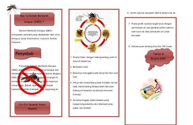 SAP Demam Berdarah + Leaflet