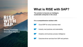Rise with SAP | PDF