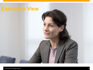 Executive View




©   2012 SAP AG. All rights reserved.   2
 