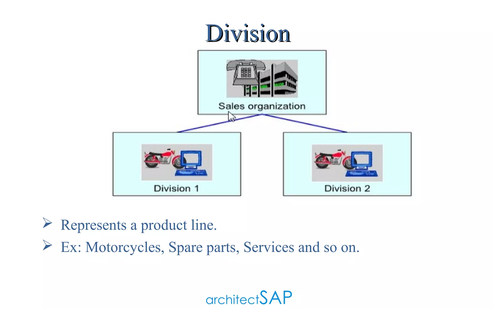 Division

 Represents a product line.
 Ex: Motorcycles, Spare parts, Services and so on.

 