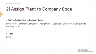 biezen plant Bushy Bulbine main image 0