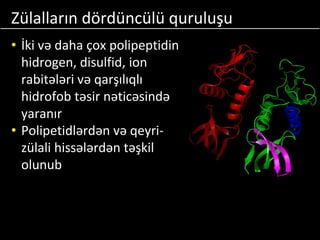 Zülalların dördüncülü quruluşu
• İki və daha çox polipeptidin
hidrogen, disulfid, ion
rabitələri və qarşılıqlı
hidrofob təsir nəticəsində
yaranır
• Polipetidlərdən və qeyri-
zülali hissələrdən təşkil
olunub
 