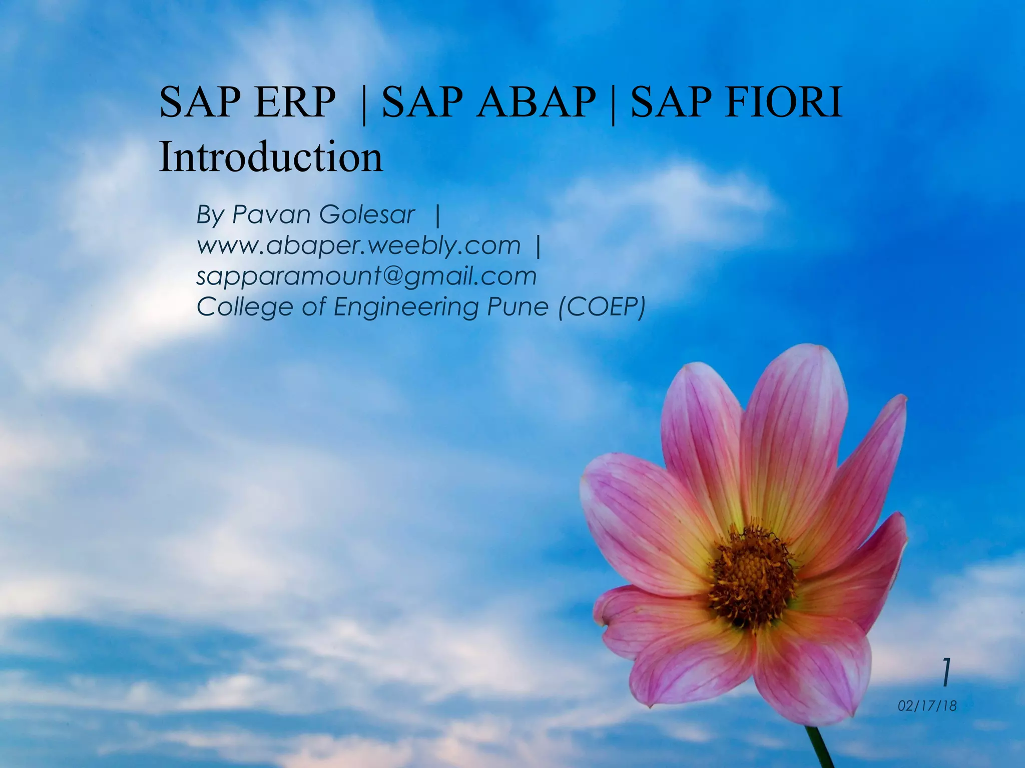What is Enterprise Resource Planning, SAP and SAP FIORI? | PPT