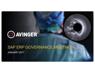 SAP ERP GOVERNANCE MEETING
JANUARY 2017
 