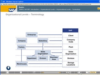Comprehensive Overview of SAP ERP Evolution and Organizational ...