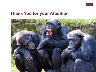 Thank You for your Attention
 