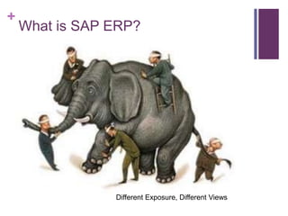 +
What is SAP ERP?
Different Exposure, Different Views
 