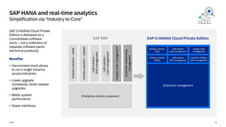 SAP ERP to SAP S_4HANA Cloud Private Edition Delta Scope | PDF
