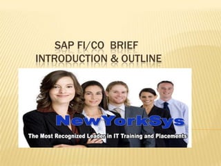 SAP FI/CO BRIEF
INTRODUCTION & OUTLINE
 