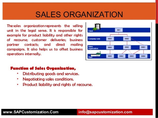 sales organisation chart