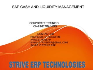 SAP CASH AND LIQUIDITY MANAGEMENT 
CORPORATE TRAINING 
ON-LINE TRAINING 
CONTACT US 
PHONE NO:+917675979146 
WWW.STRIVEERP 
E-MAIL:STRIVEERP@GMAIL.COM 
SKYPE ID:STRIVE.ERP 
 