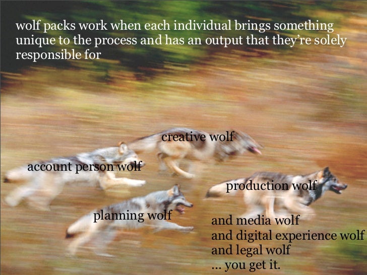 planning creativity planning for creative campaigns how a wolf pack works