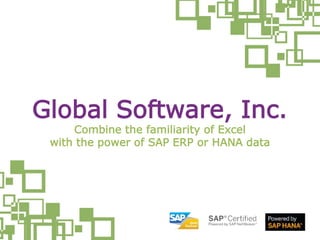 Combine the familiarity of Excel
with the power of SAP ERP or HANA data
Global Software, Inc.
 