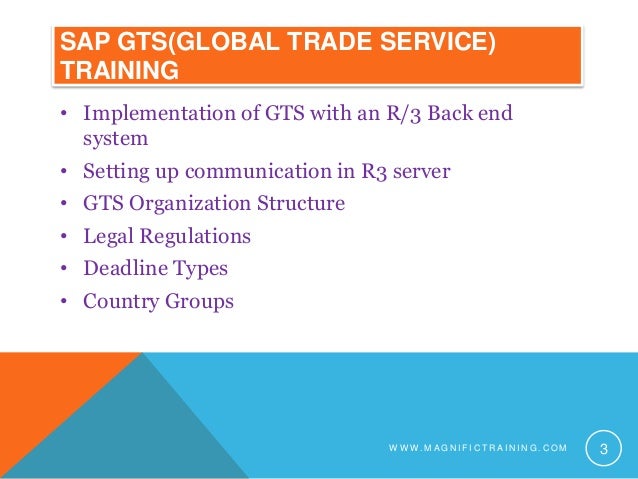 Global trade system sap