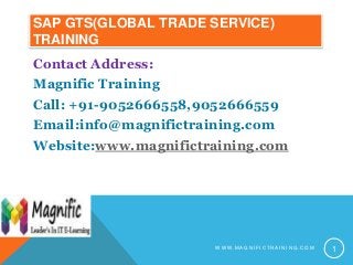 SAP GTS(GLOBAL TRADE SERVICE)
TRAINING
Contact Address:
Magnific Training
Call: +91-9052666558,9052666559
Email:info@magnifictraining.com
Website:www.magnifictraining.com
1W W W . M A G N I F I C T R A I N I N G . C O M
 