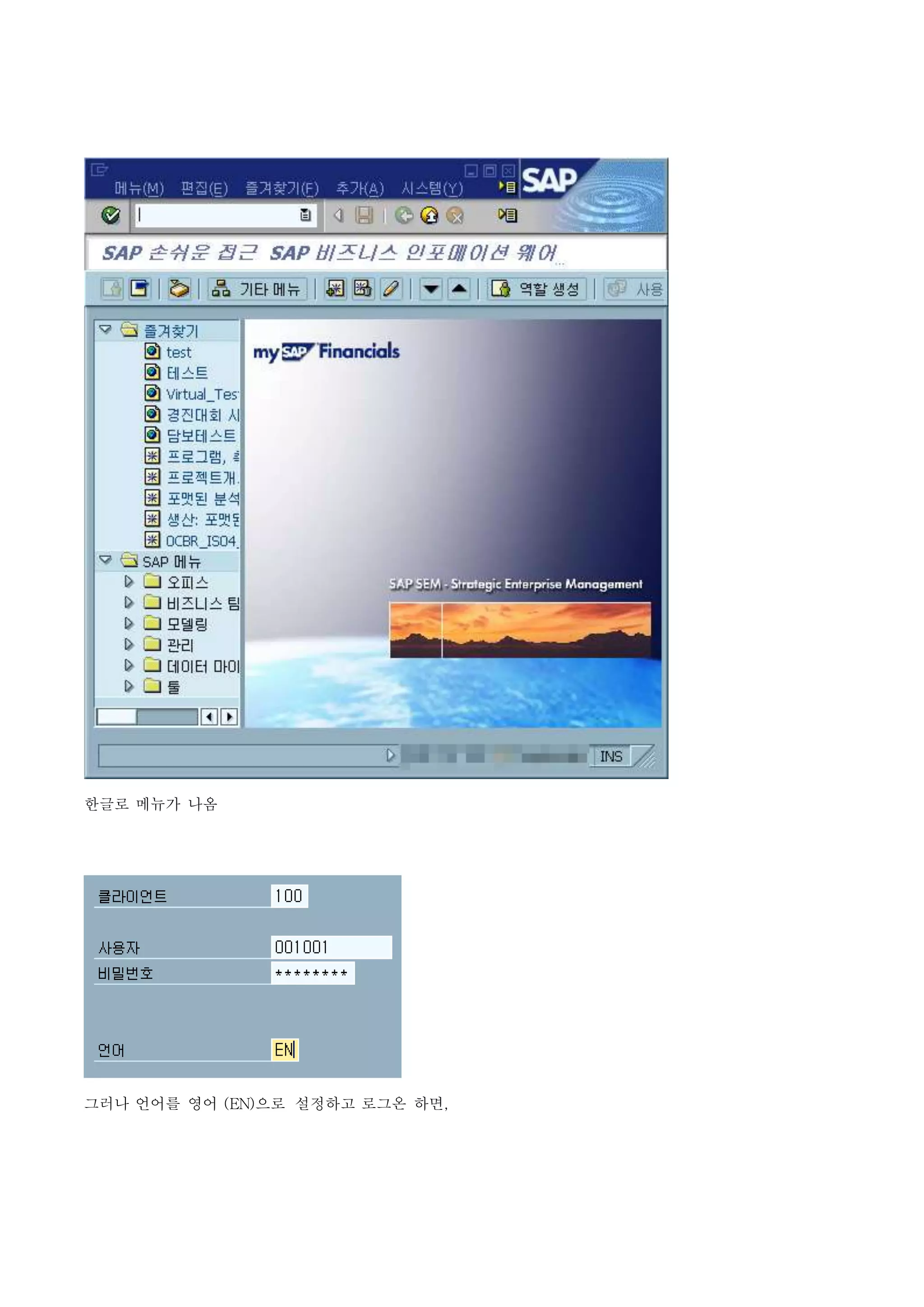 SAP GUI 언어 설정 바꾸기 | DOCX