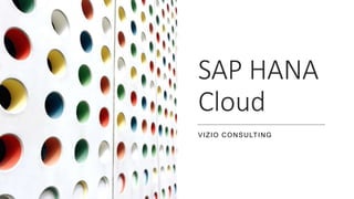 SAP HANA
Cloud
VIZIO CONSULTING
 