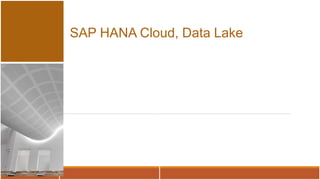 SAP HANA Cloud, Data Lake
 