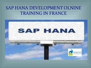 SAP HANA DEVELOPMENT OLNINE
TRAINING IN FRANCE
 