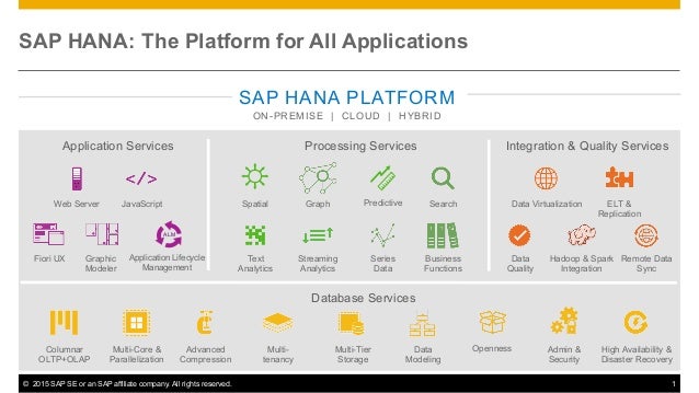 sap hana platform sap hana