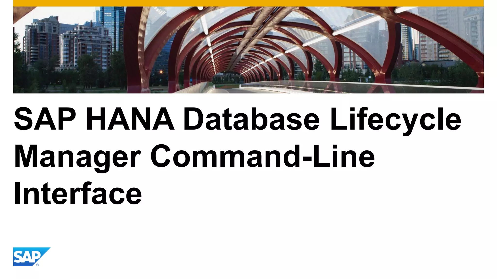 SAP HANA Database Lifecycle
Manager Command-Line
Interface
 