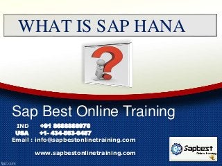 WHAT IS SAP HANA 
Sap Best Online Training 
IND +91 8688888976 
USA +1- 434-563-6487 
Email : info@sapbestonlinetraining.com 
www.sapbestonlinetraining.com 
 